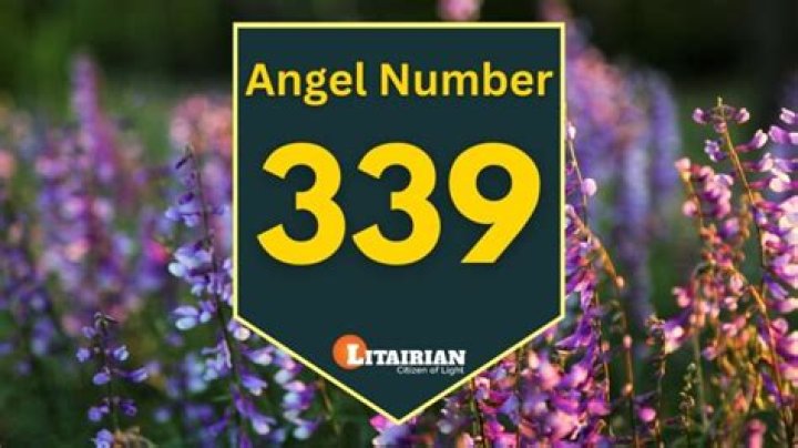 Angel Number 339 Meaning And Significance