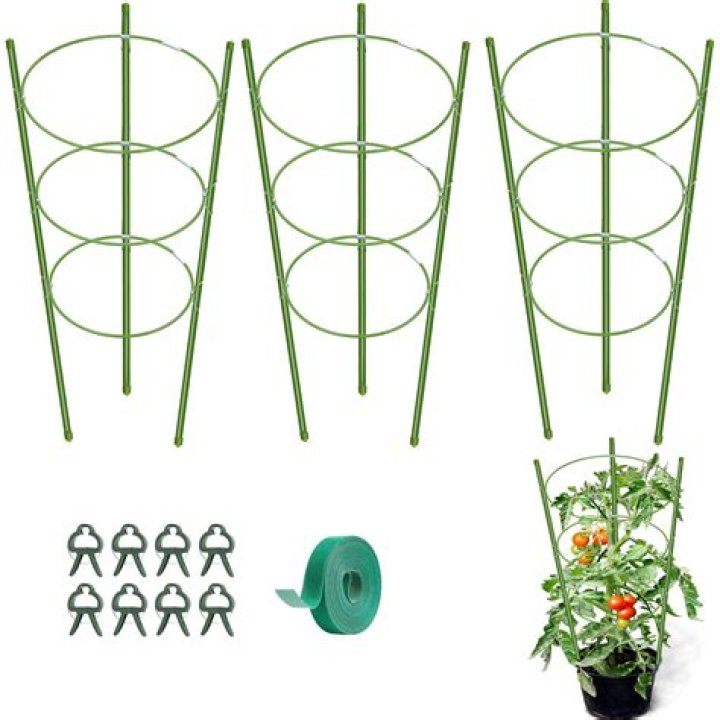 Do pepper plants need tomato cages? |