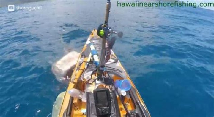 Fisherman on kayak has lucky escape off Oahu, Hawaii