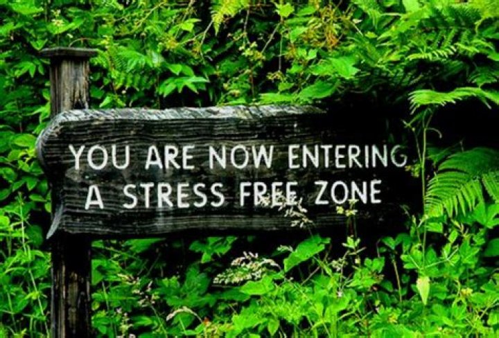 How To Detect Geopathic Stress Zone In Home / Office & Cure It